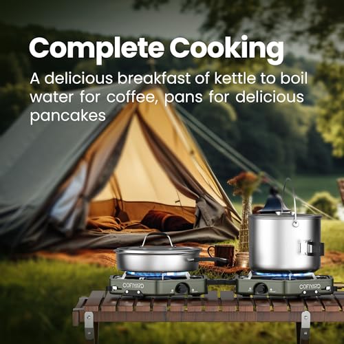 Portable 2 Burner Propane Camping Stove with Bag