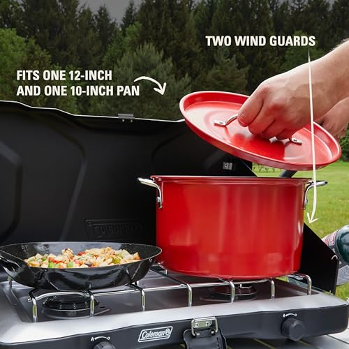 Portable 2 Burner Propane Camping Stove with Wind Guards