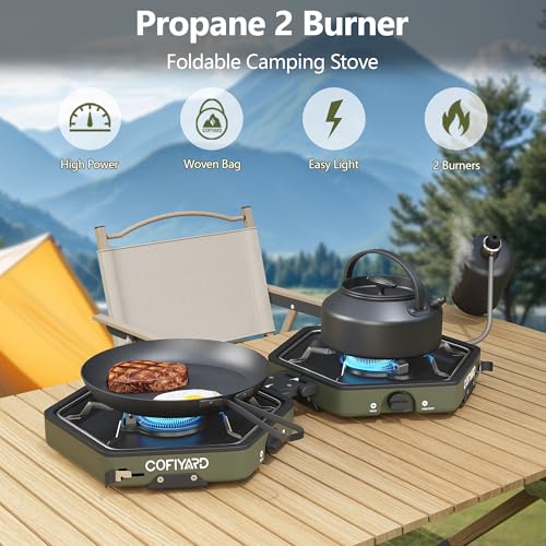 Portable 2 Burner Propane Camping Stove with Bag