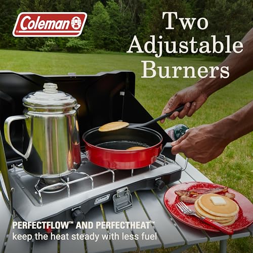 Portable 2 Burner Propane Camping Stove with Wind Guards