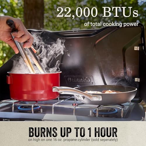 Portable 2 Burner Propane Camping Stove with Wind Guards